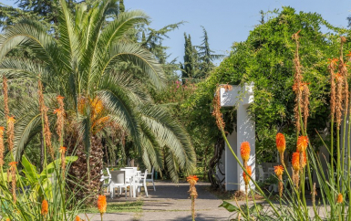 - санаторий Самшитовая Роща