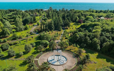 - санаторий Самшитовая Роща